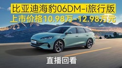 10.98𣡱ǵϺ06DM-iа