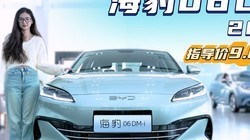 ʮ������Ԥ�� 2026���06 DM-i �ܷ�ʵ�ּ�Ҫ��Ҫ��