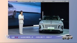 ����H7�������з�����