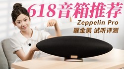 ����Τ�� Zeppelin Pro�׽����������