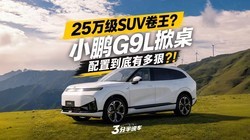 25��SUV�����컨�壿С��G9L�Ⲩ���۵����ж�ݣ���