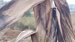 ����ŷ���������߹����װͻ��������Ϣ��