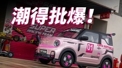 4.6��ļ�����è��������С���ʧȥ�ֿ�����