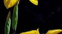 �����һ��