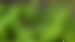 �������ϻ�