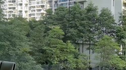 �Զ�����������������2026 ���Ų��������˺���ʵ�⣬���Լ۱Ȼ�����