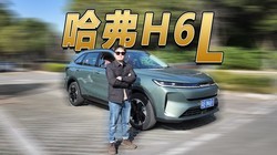13w����2.0T+9DCT �Լ۱ȸߵ����ף���ϸ�������H6L