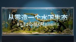 ������һ��ˮ����̬��������2�ھ�ͷȺ���ĵ�ʲô