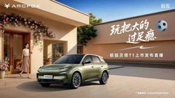 ��������T1���з�����
