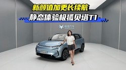 ����ֵ�Ӹ������� ��̬���鼫������T1