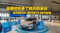 ʵõʧԵİٱ䣬06DM-iа10.98