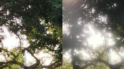 ����û��Χ�У��������С���߰�