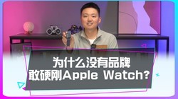 Ϊʲô��ô��Ʒ�ƣ�û��һ�Ҹ�ֱ��Ӳ��Apple Watch��