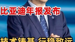 �й�����ݾ����񻯣����ǵϷ����걨���桤��������������Զ��