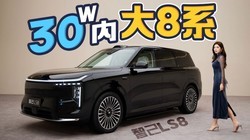 30���ڴ�8ϵ ����ʵ���Ǽ�LS8