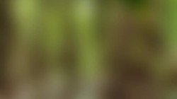 �����������