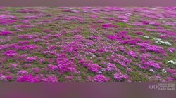 �컨���ش�