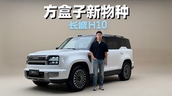���������������� ��������콢����H10