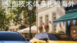 ����չ����������� ����˫��������賵չ
