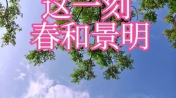 ����������������һ��15T��ͷ�µĴ��;���