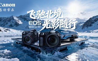 ���ɳ۱��� ��Ӱ���С� ����ܹ������ر�ѩ����֮��