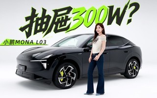 ����300W������ʵ������С��MONA L03