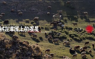 新疆博尔塔拉冬牧场|富士GFX100RF陪我在场
