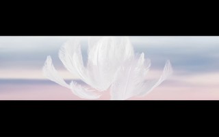 ��ҫMagic8 Pro Air��Ʒ������