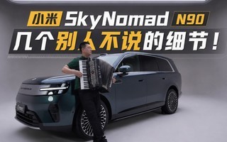 С����� SkyNomad N90 ��̬������⣺��ۡ����Ρ���ȫ�붯��