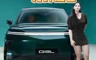 �����ӿ���С��G9L�³�����