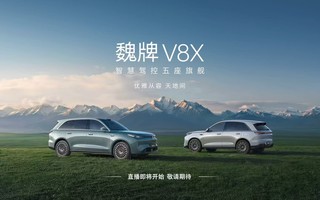 κ��V8X���з�����