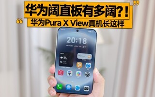 ��Ϊ��ֱ���ж���������ΪPura X View�����������