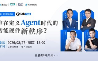 Co Lab������ ���ն˾֣�˭�ڶ���Agentʱ��������Ӳ��������?