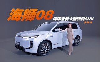 首发实拍比亚迪海狮08,大六座+第二代刀片电池+后轮转向