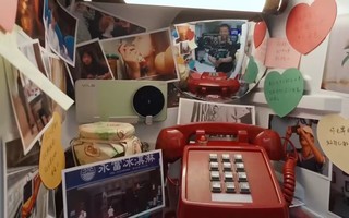vivo ������ʢ��