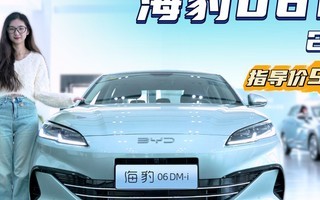 ʮ������Ԥ�� 2026���06 DM-i �ܷ�ʵ�ּ�Ҫ��Ҫ��