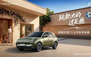 ��������T1���з�����