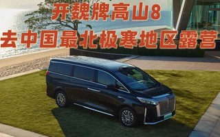 ��κ�Ƹ�ɽ8 ȥ�й����������¶Ӫ