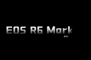 16499Ԫ Ĵ EOS R6 Mark II