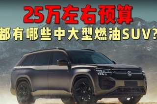 25���������ȼ���д��� SUV ���̵㣬��ȱ����ʵ˵���򳵲��ȿ�