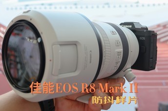 ����EOS R8 Mark II������Ƭ