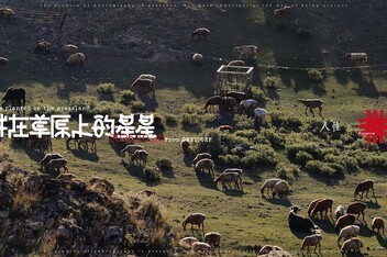 �½�������������������ʿGFX100RF�����ڳ�