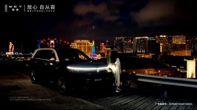 魏牌V9X家庭版上市发布会