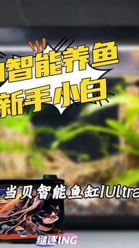 这款当贝智能鱼缸1Ultra太适合新手小白了