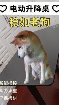 桌子还是选这种带电动升降的好，从此站着说话不腰疼了