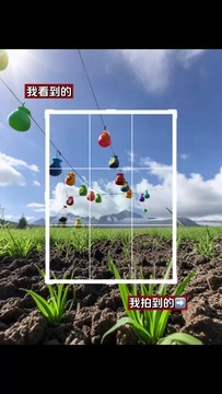 手机摄影笔记｜我看到的VS我拍到的