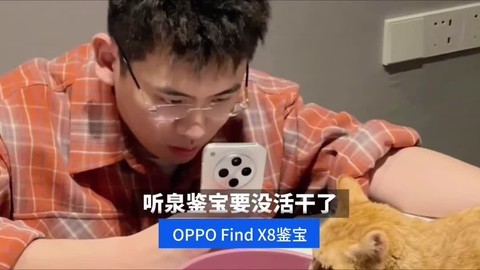 听泉鉴宝消失了几天，回归带来OPPO Find X8鉴宝功能？