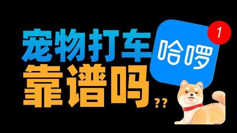宠物打车有多恐怖？可能没你想的那么美好