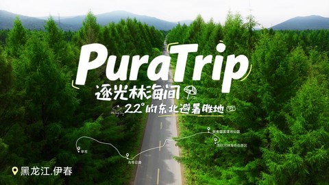 逐光林海间22° 的东北避暑胜地