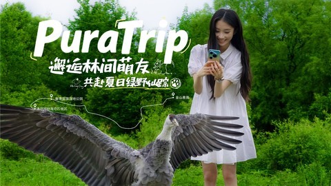 邂逅林间萌友，共赴夏日绿野仙踪！